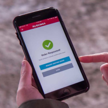 Person looking at app on phone